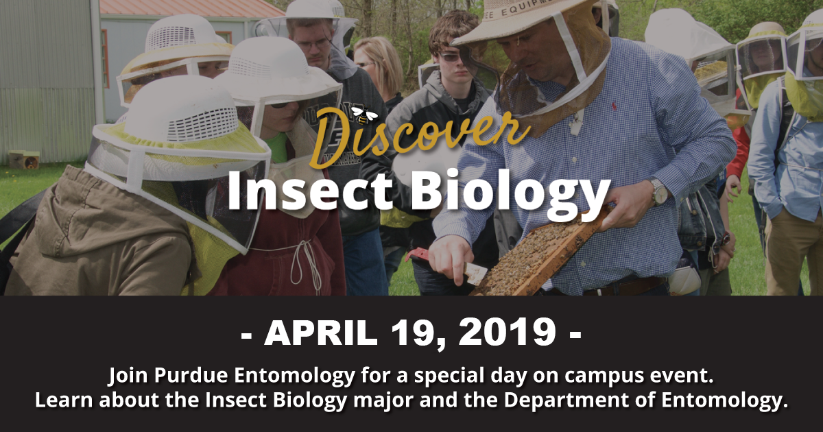 Purdue Entomology - Discover Insect Biology